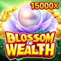 Các loại tiền thưởng và khuyến mãi tại 1133win login