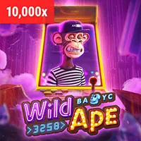 Tuyên bố từ chối trách nhiệm của 1133win login